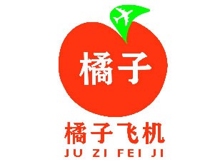 橘子二手飞机交易网